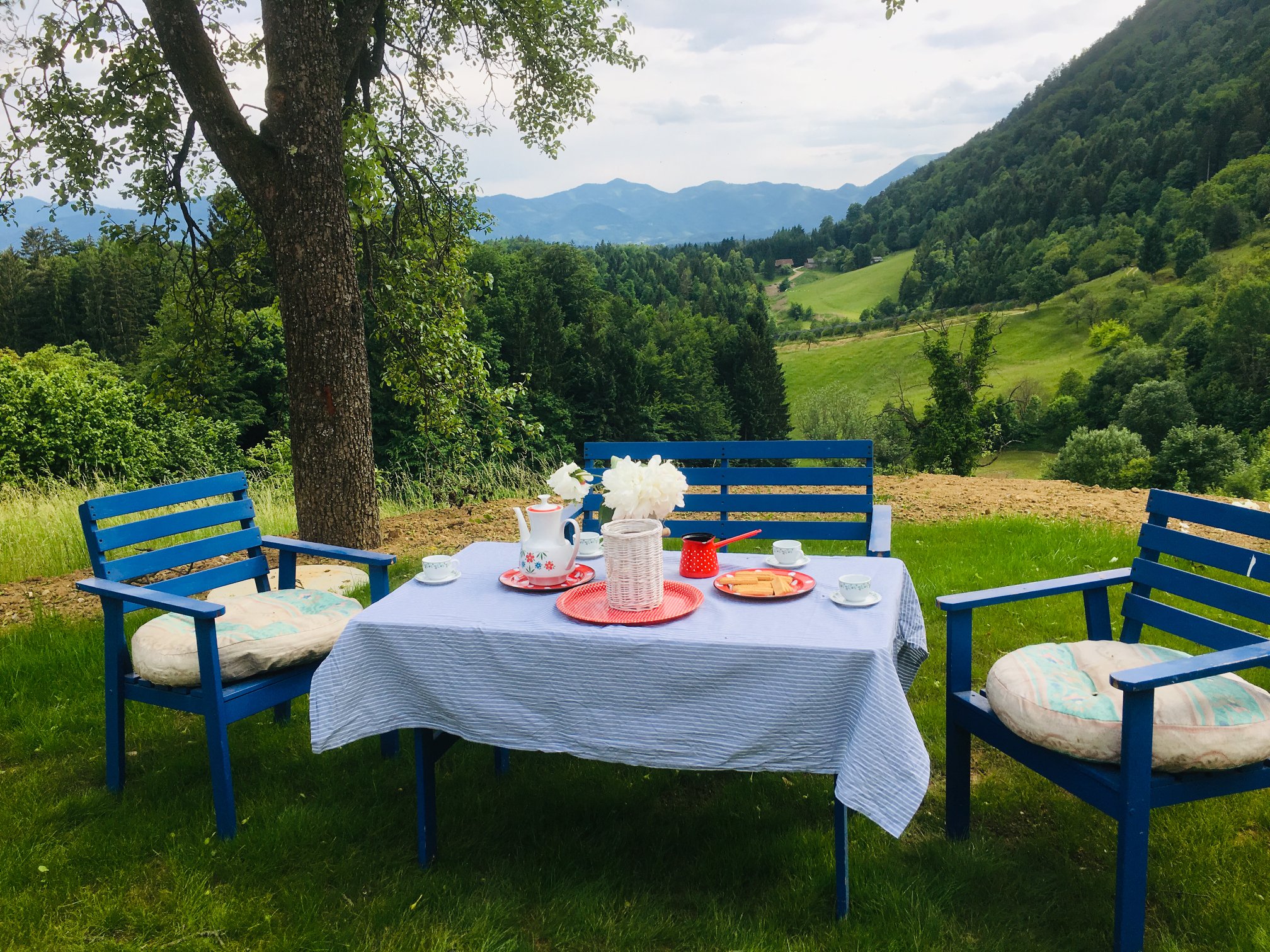 Modra hiška 6.jpg